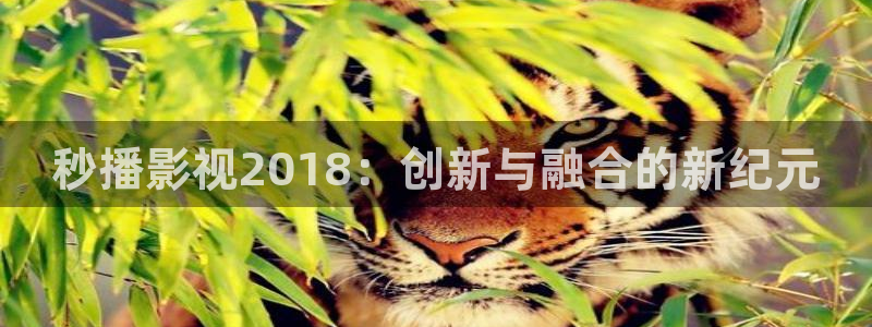金桔视频大全：秒播影视2018：创新与融合的新纪元