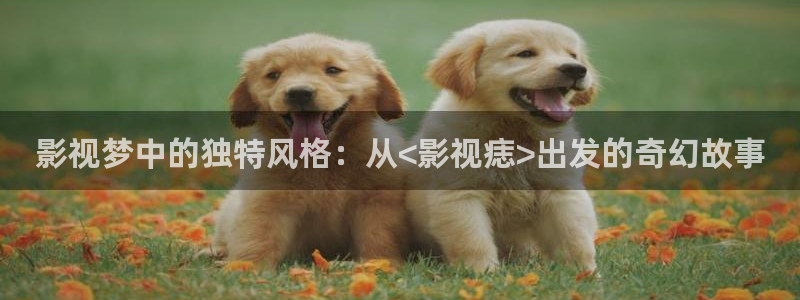 金桔种植视频