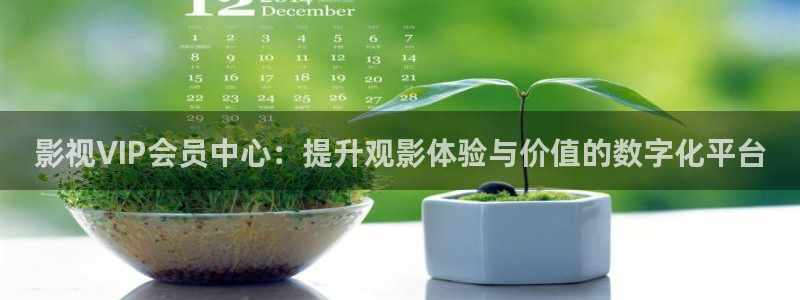金桔电影网：影视VIP会员中心：提升观影体验与价值的数字化平台